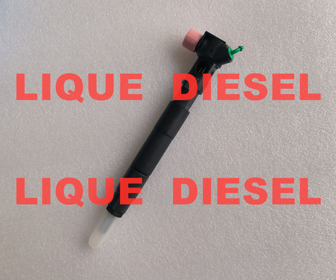 DELPHI Common Rail Injector 28308779 A6510703287 6510703287 Инжектор общего рельса поставщик