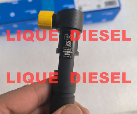 DELPHI Инжектор общего рельса EMBR00301D R00301D 6710170121 A6710170121 для SSANGYONG Korando поставщик