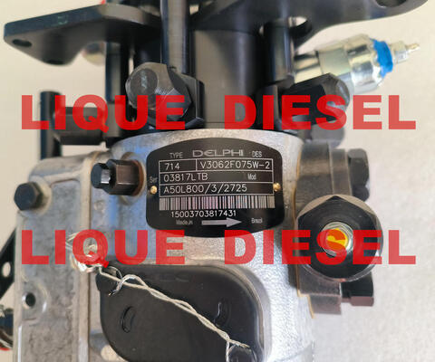 Насос топлива 3062F075 3062F074 3062F073 3062F072 3062F071 3062F070 3062F07# поставщик